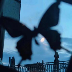 亚洲日韩在线中文字幕第一页
