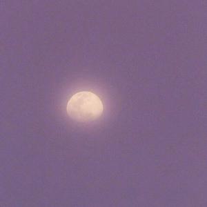 亚洲日韩在线中文字幕第一页
